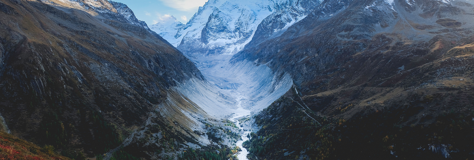 Chronicles of Curiosity: Unveiling Hidden Gems