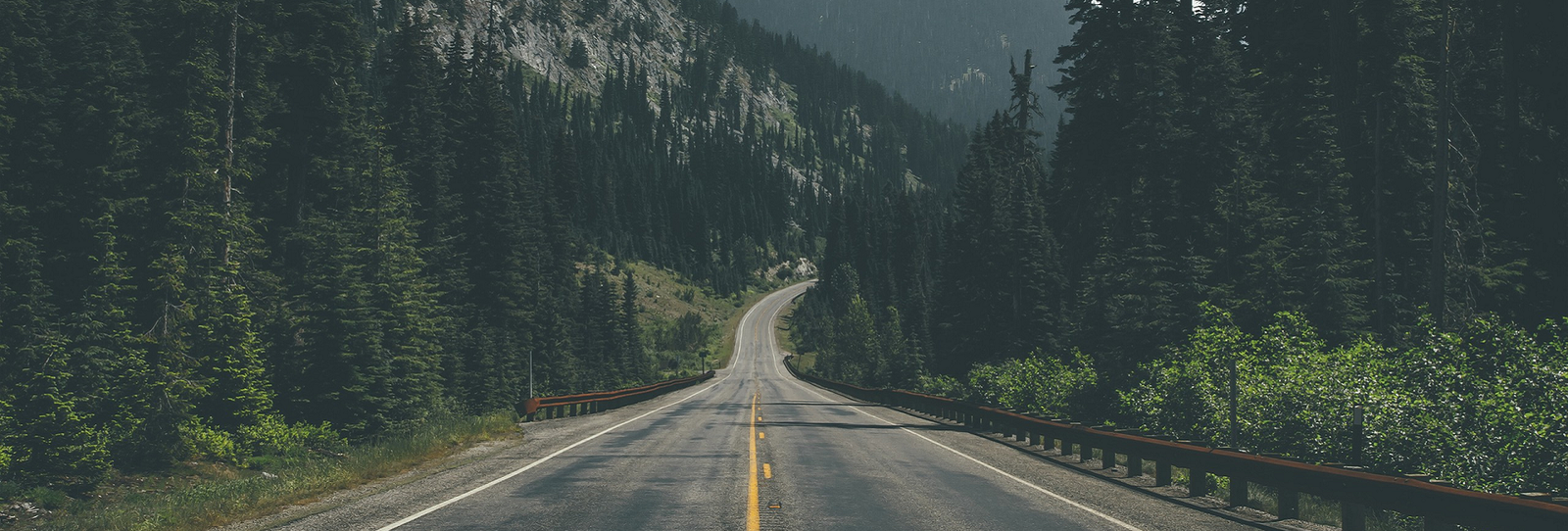 Wanderlust Chronicles: Tales from the Open Road