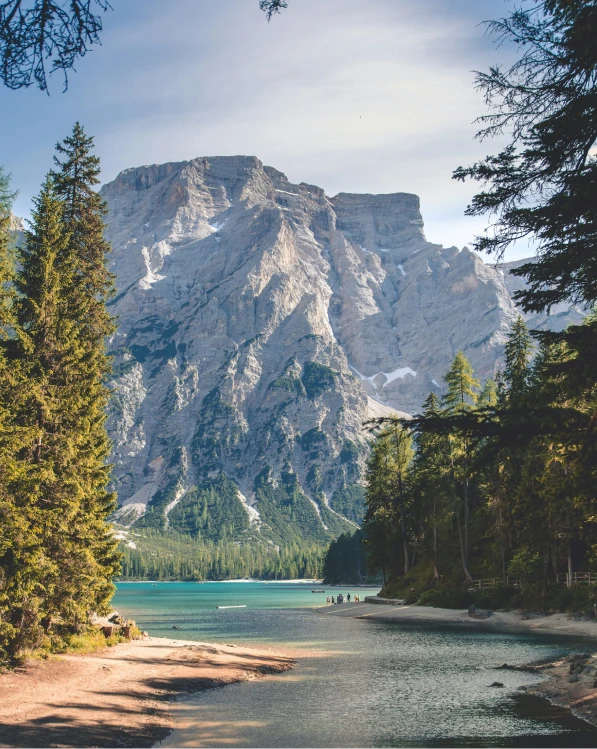 Embracing Change: Navigating Life’s Transitions